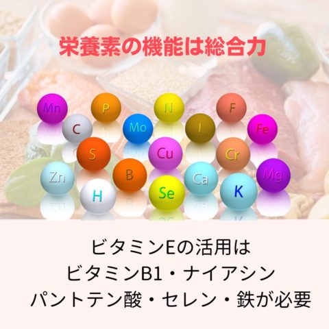 栄養素