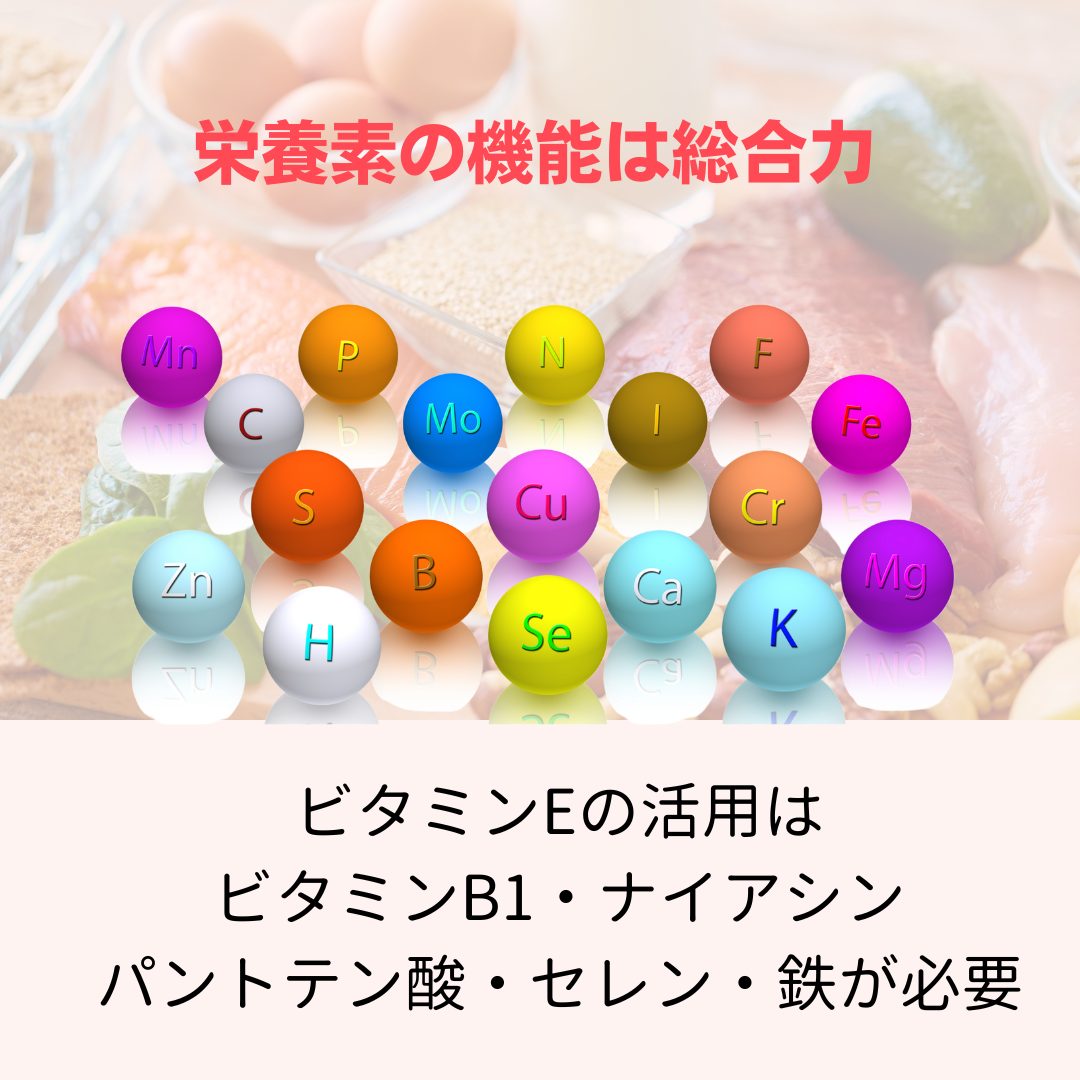 栄養素