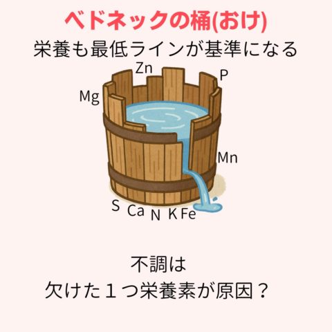 ベドネックの桶
